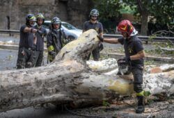 Albero caduto e intervento dei Vigili del Fuoco sulla Cristoforo Colombo