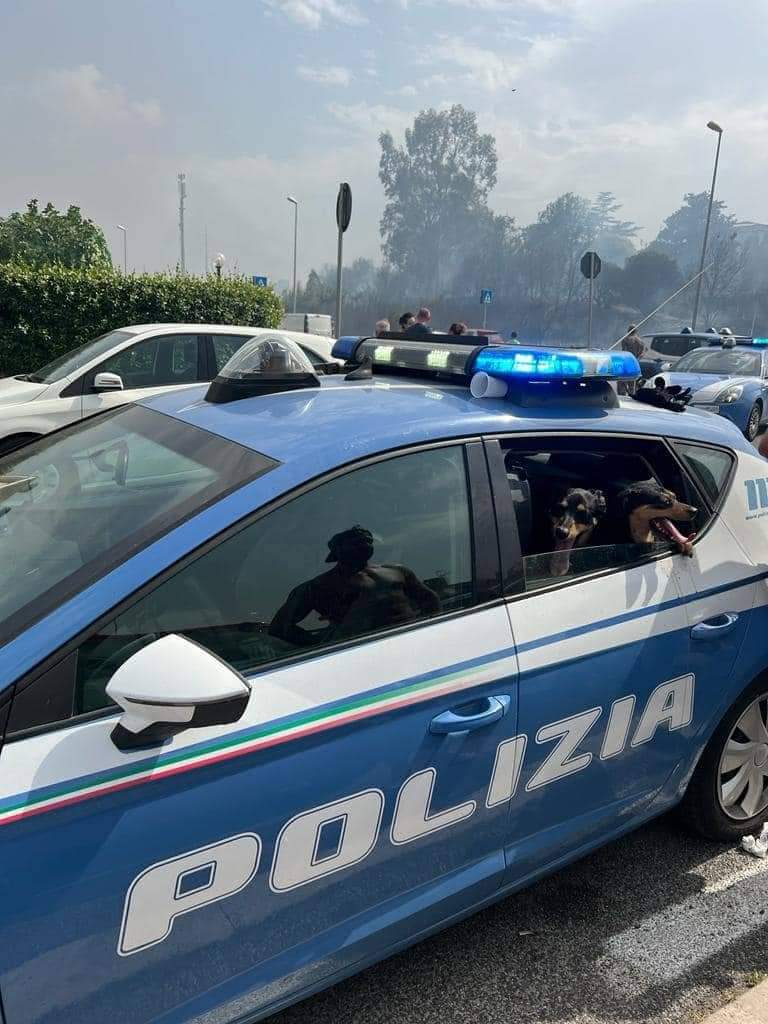 Cani salvati dall'incendio di lunedì 27 giugno