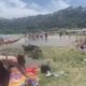 Famiglia di cinghiali al lago di Albano durante il pic-nic degli studenti