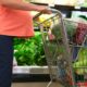 Che cos'è e come funziona il Reddito Alimentare?