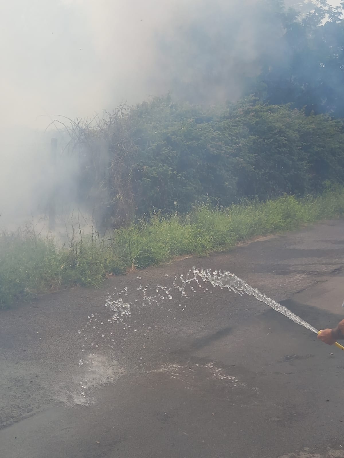 incendio Nuova Florida