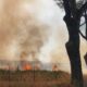 incendio roma bufalotta strada chiusa 200 persone evacuate