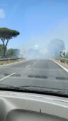 incendio pontina 