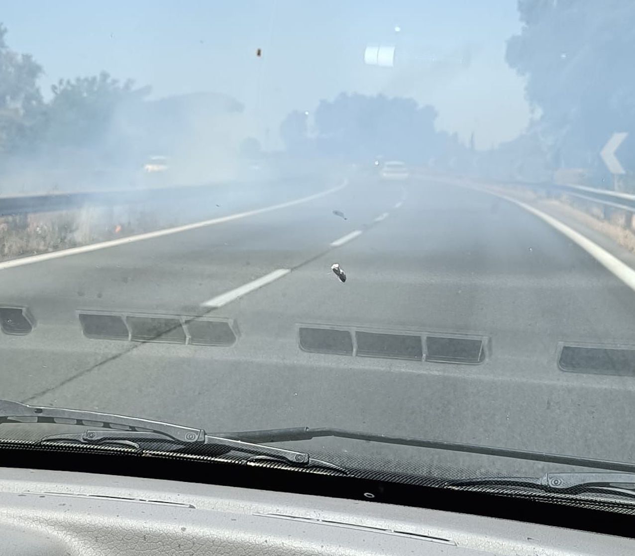 incendio pontina