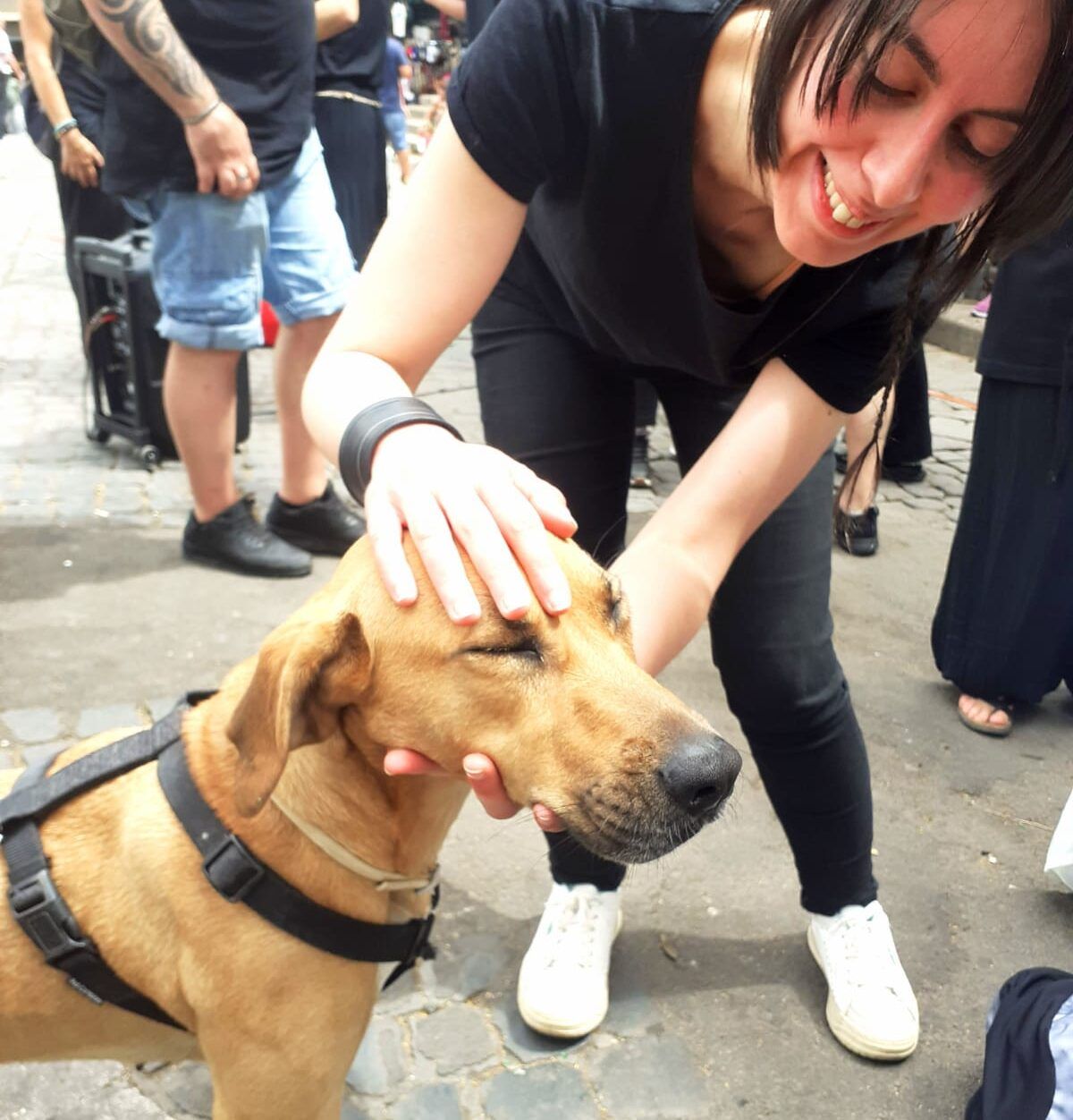 manifestazione animalisti