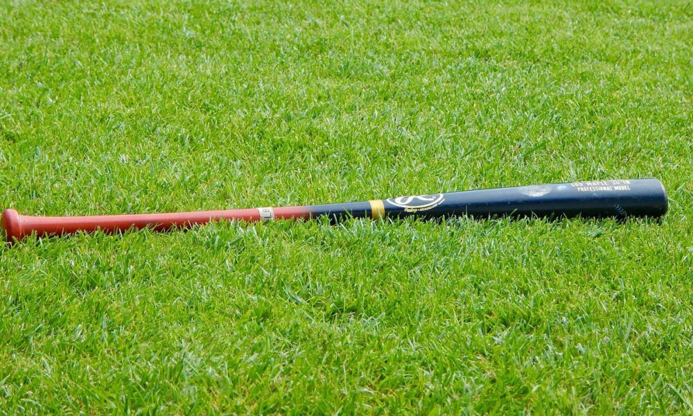 Lo ospitano dentro casa perché senza lavoro, ma lui li aggredisce di notte con la mazza da baseball Lo ospitano dentro casa perché senza lavoro, ma lui li aggredisce di notte con la mazza da baseball