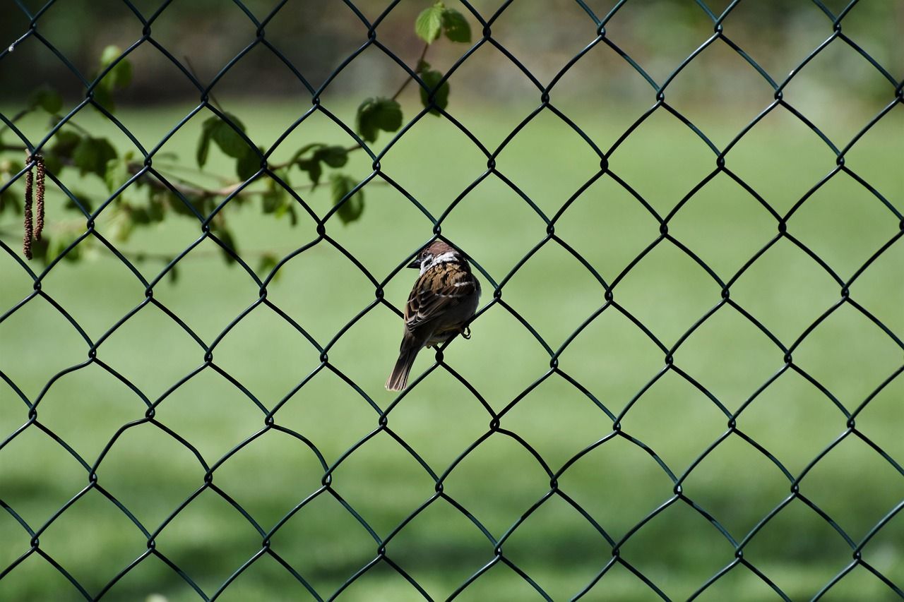 reti per recinzioni