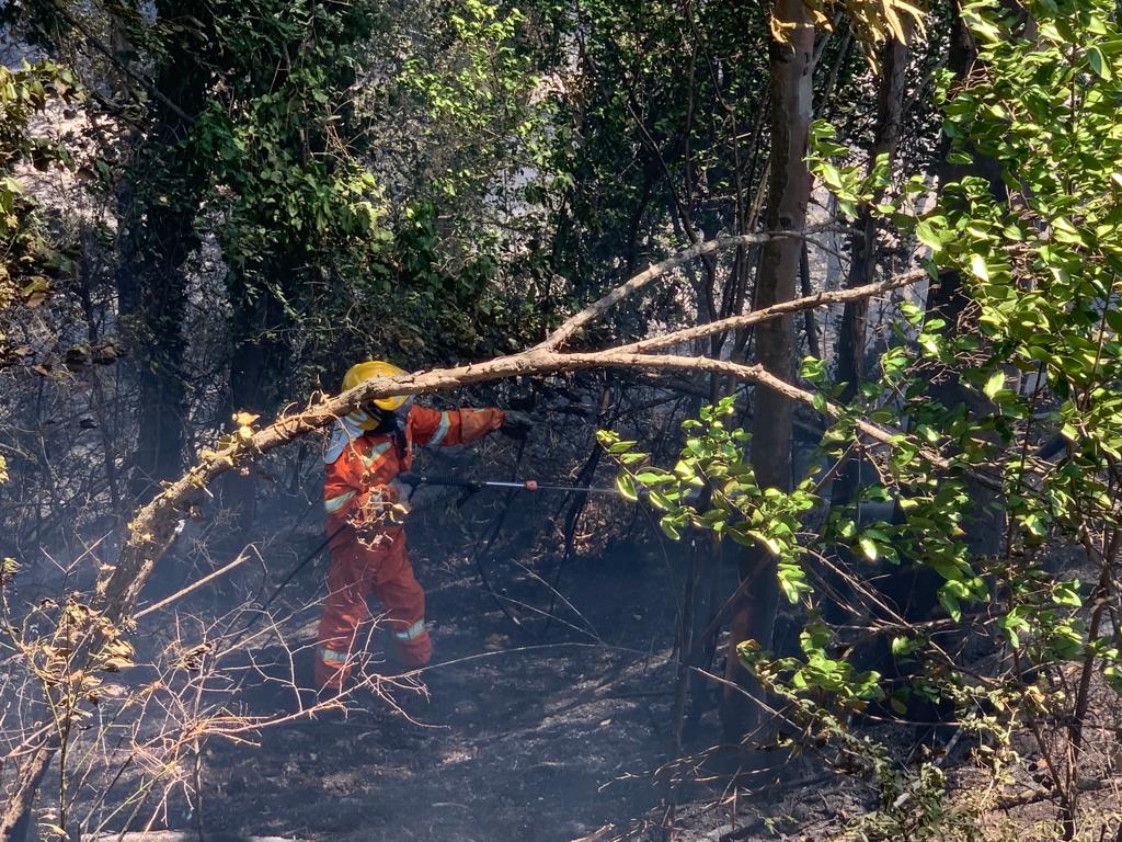 incendio Castel di Guido