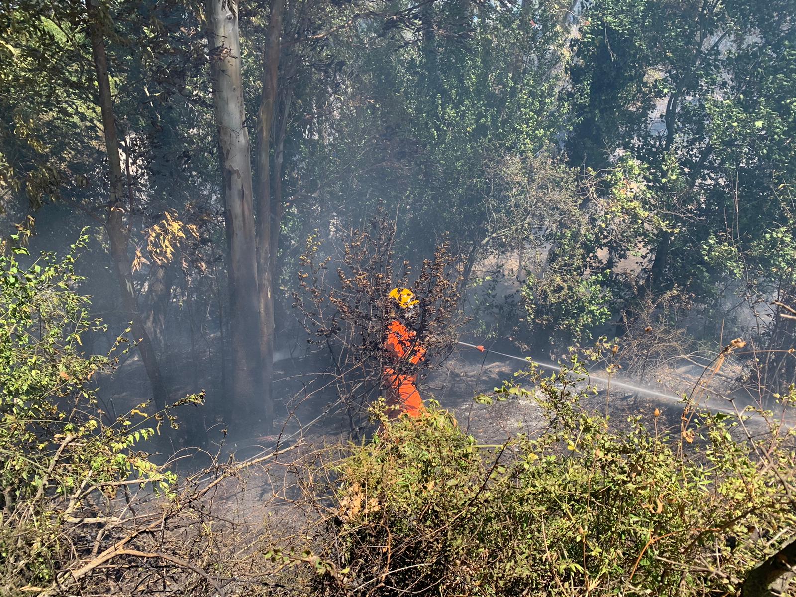 incendio Castel di Guido