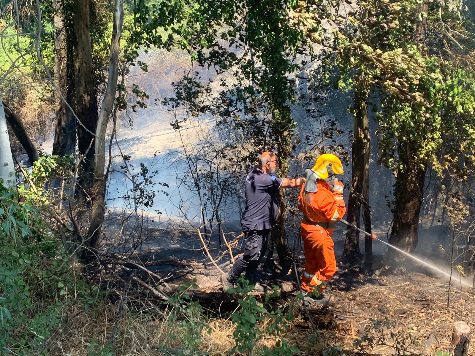 incendio Castel di Guido