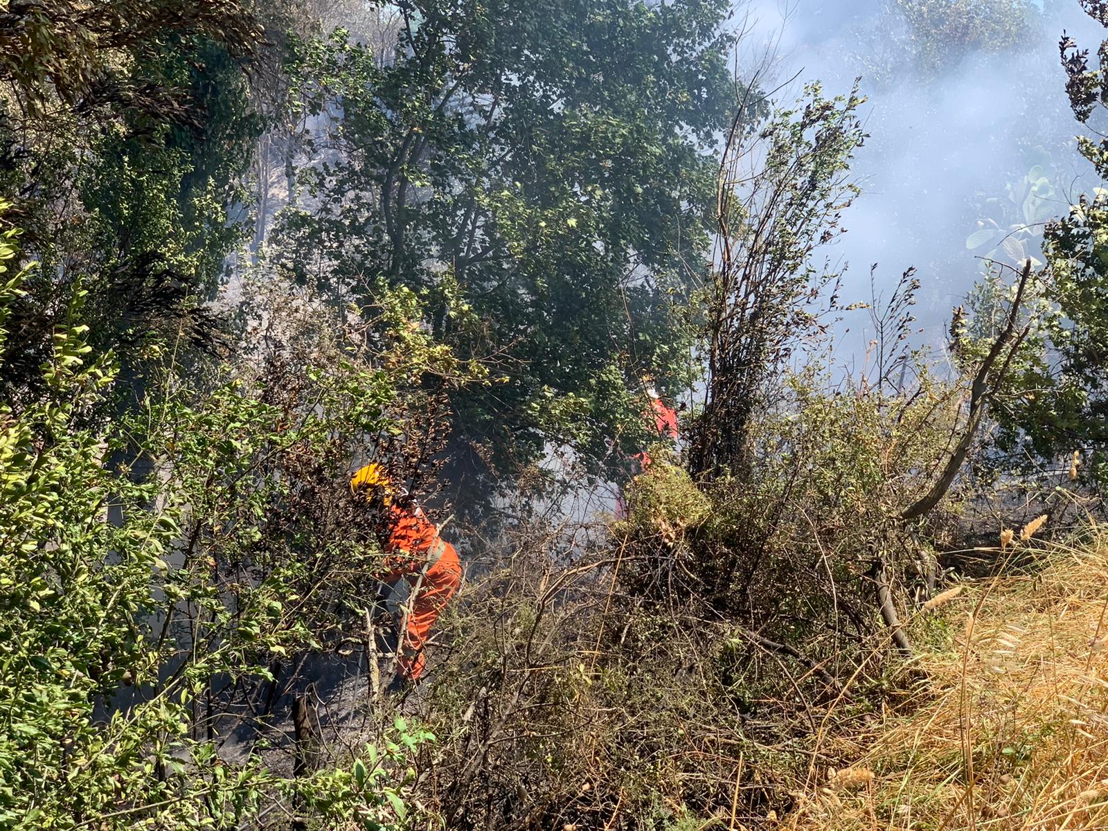 incendio Castel di Guido