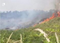 Incendio in via Pineta Sacchetti