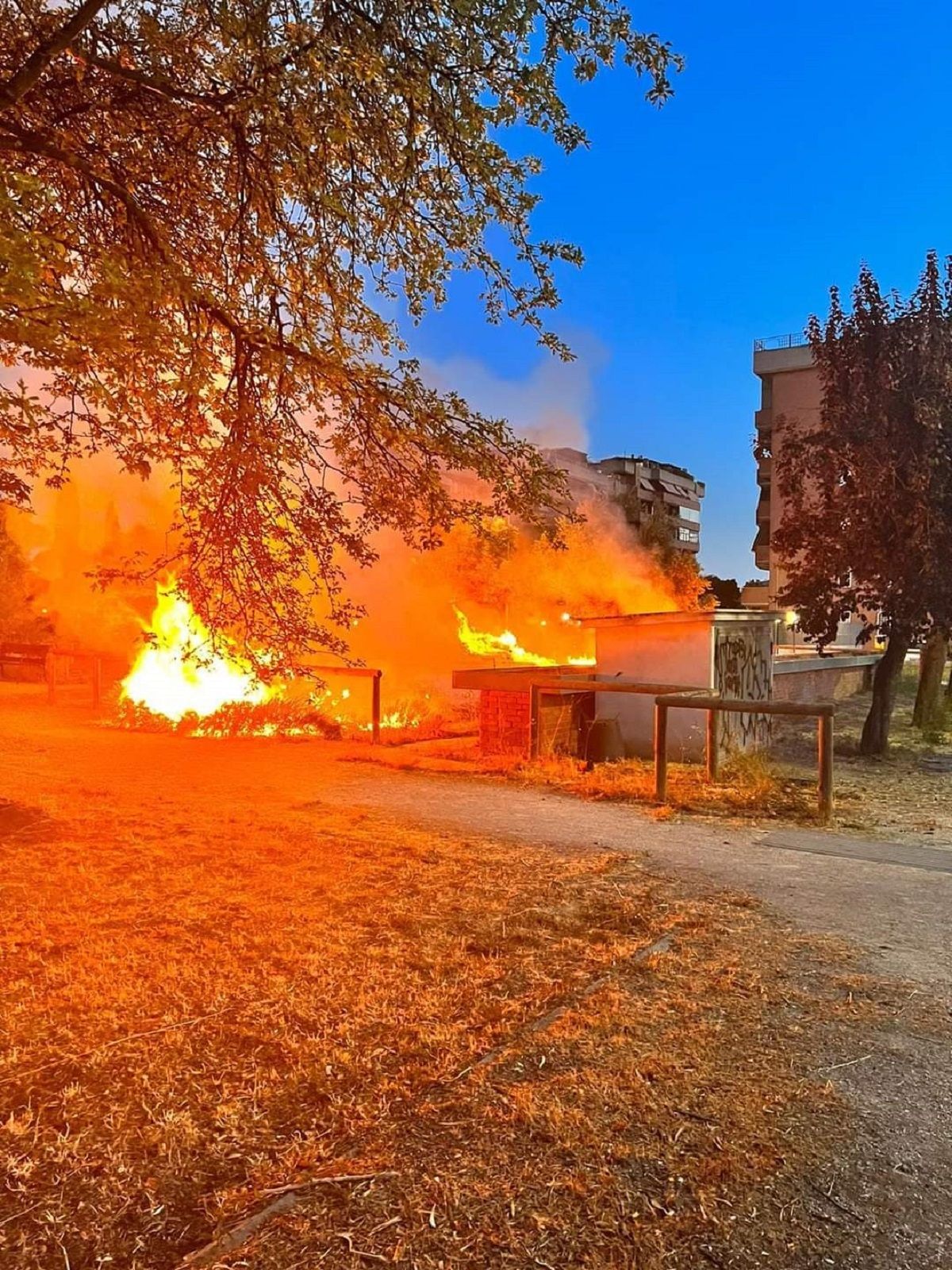 Devastante incendio al giardino multisensoriale di Torre Maura