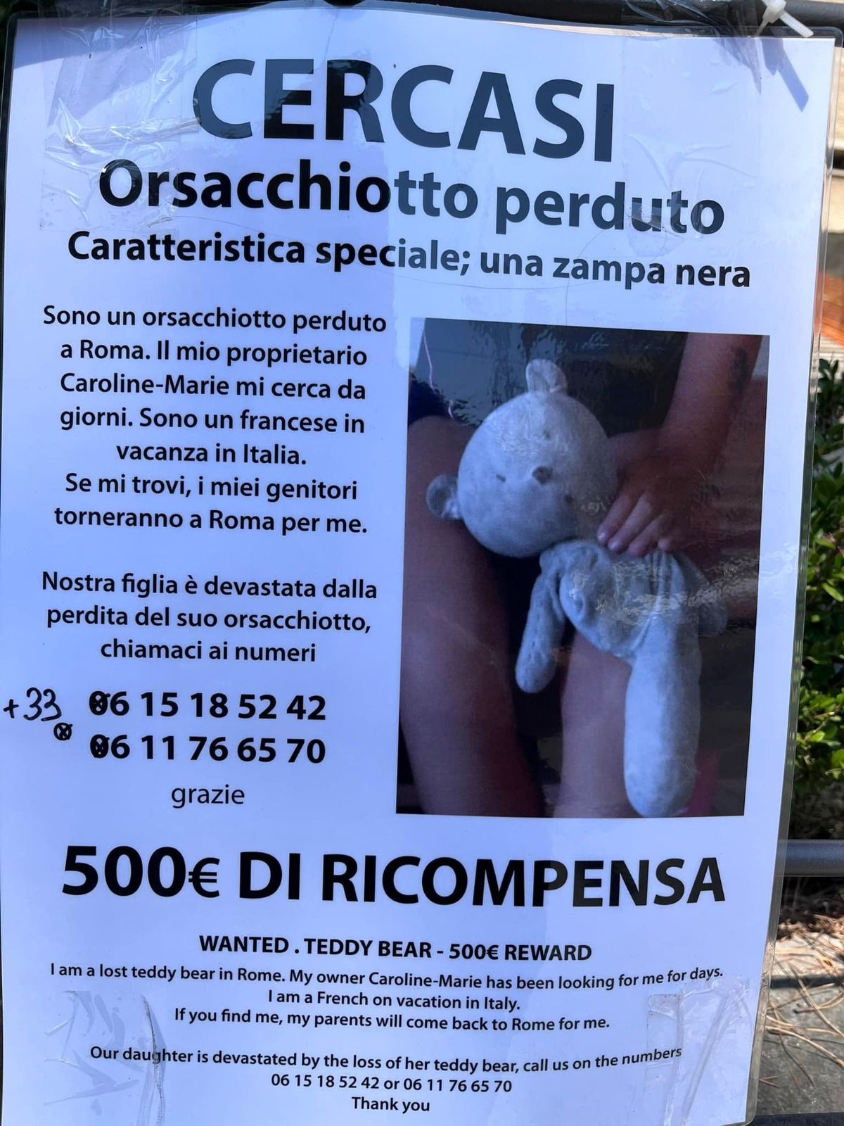 Manifesto integrale orsacchiotto smarrito roma