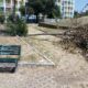 Parco della Pace