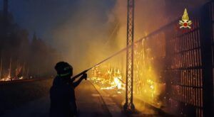 Incendio pineta sacchetti vigili del fuoco al lavoro