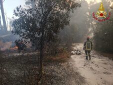 Incendio pineta di Castel Fusano