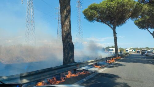 fiamme pontina