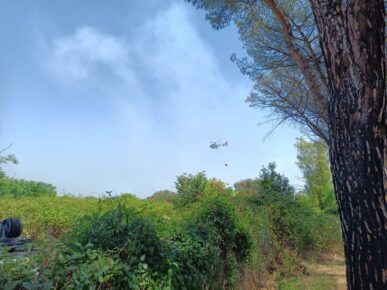 Elicottero per domare le fiamme nel Parco del Pineto