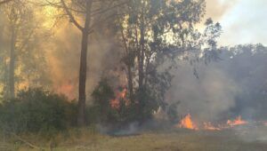 incendio a Castel Romano