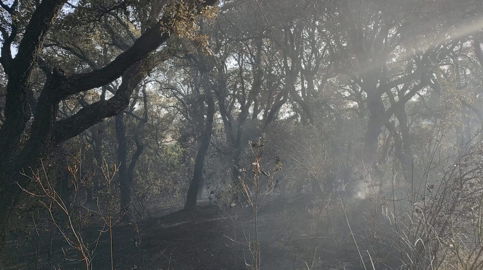 incendio Pomezia