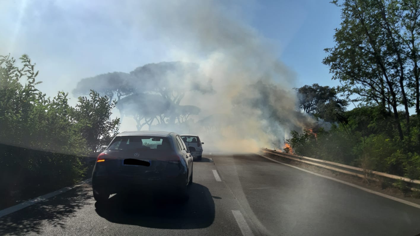 incendio Pontina