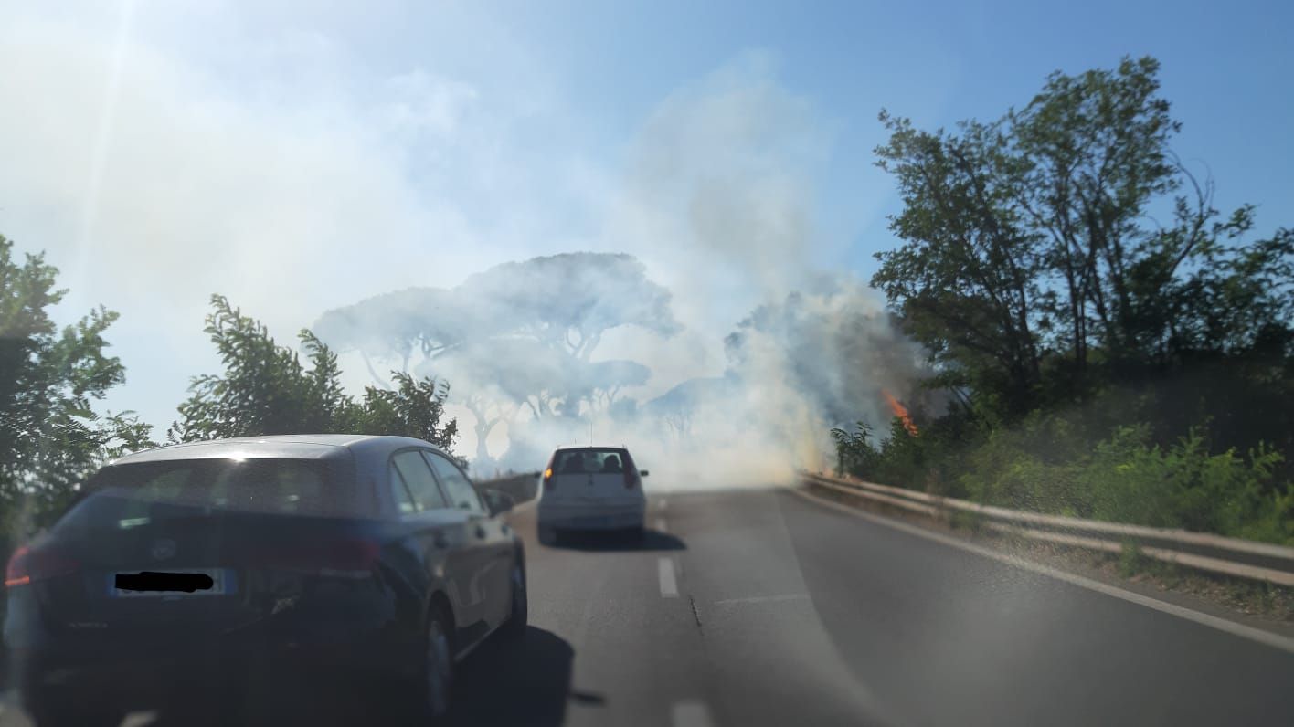 incendio Pontina