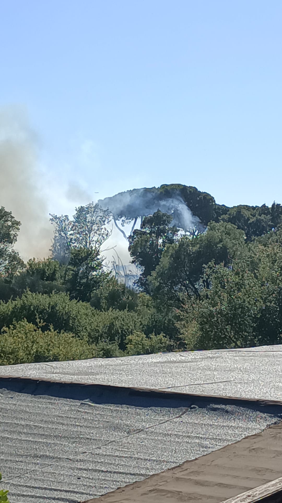 incendio Pontina