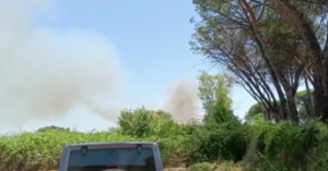 Incendio di oggi nel Parco del Pineto