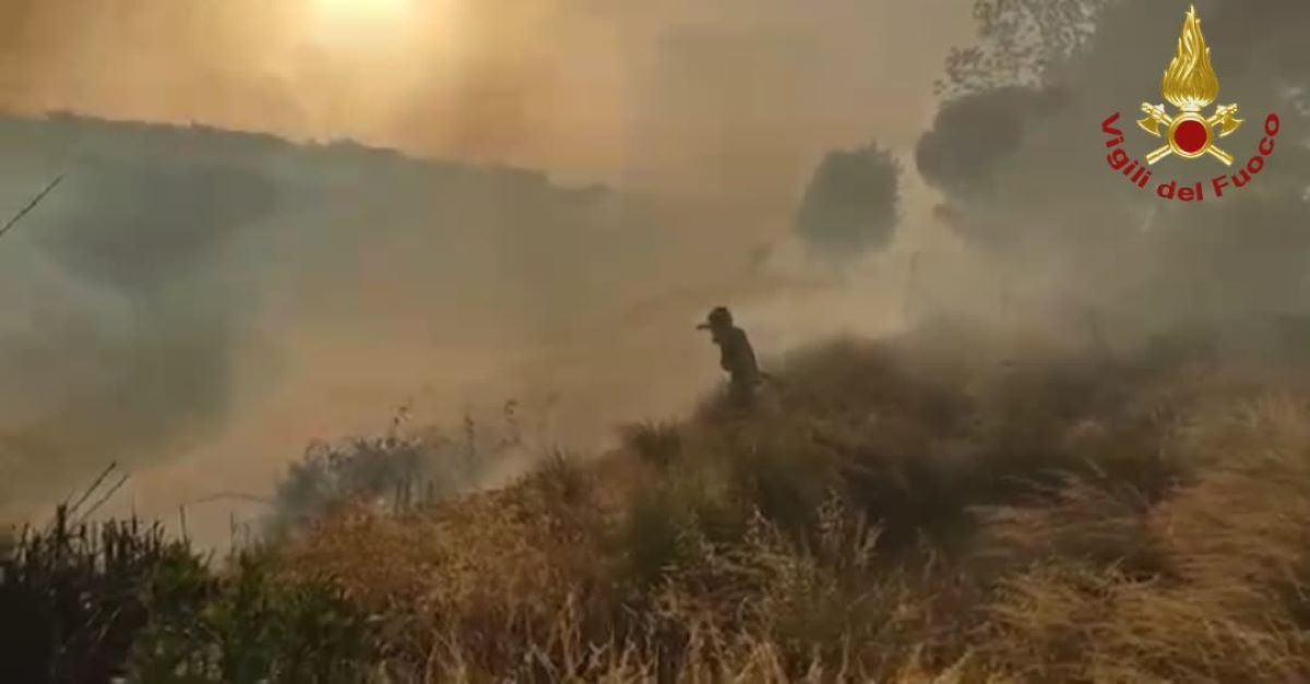 Incendio di ieri a Pineta Sacchetti