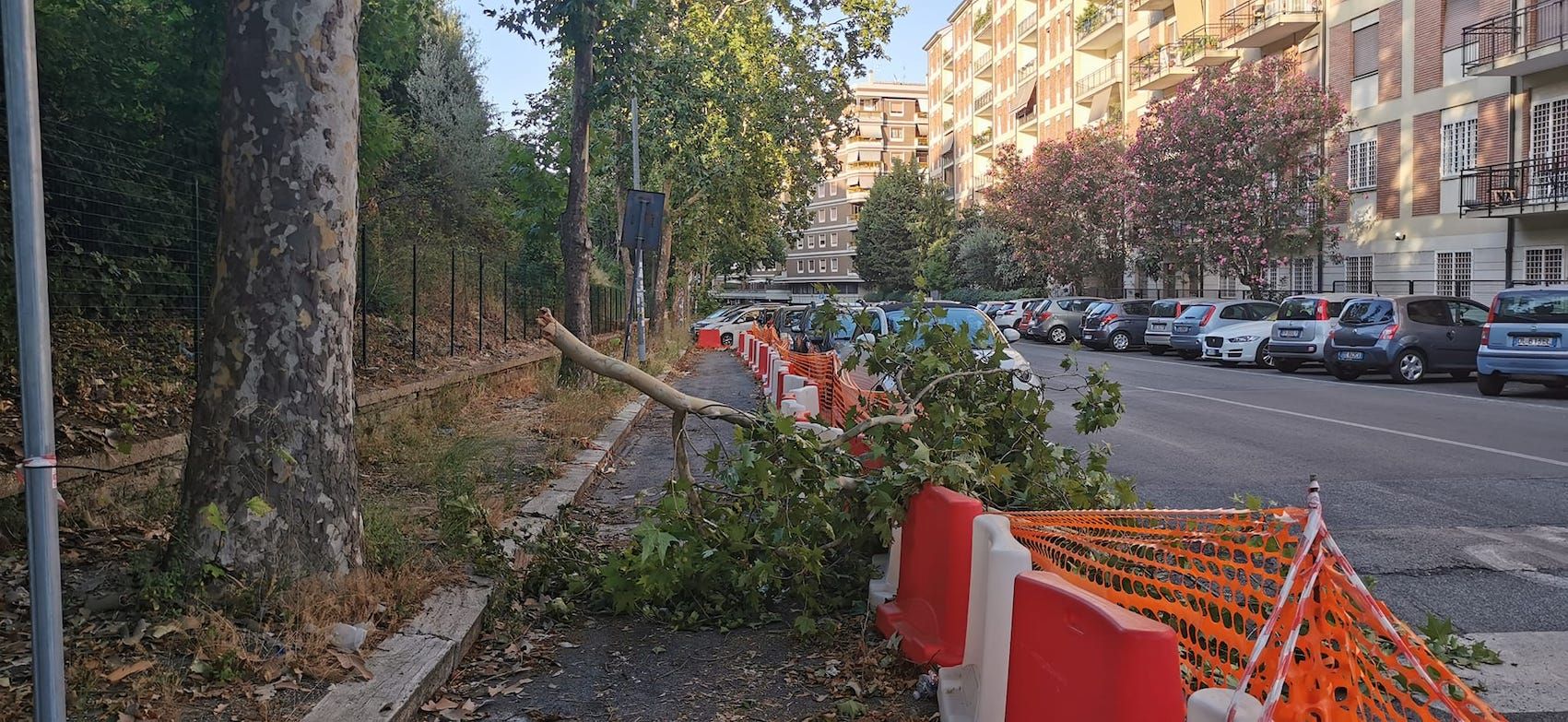 Crolla ramo a Roma
