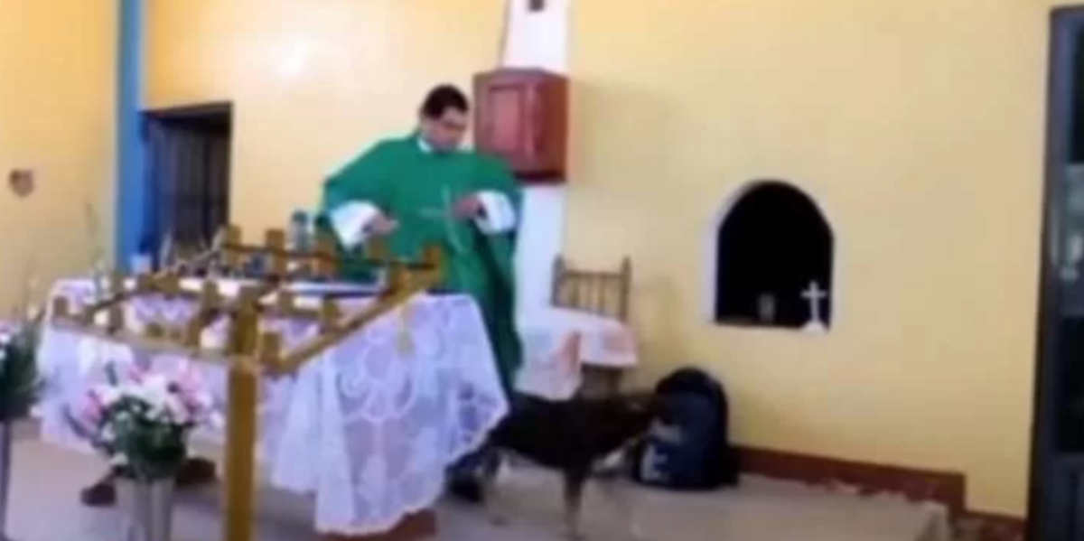 prete prende a calci il cane
