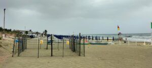 Nido tartaruga marina Tor San lorenzo