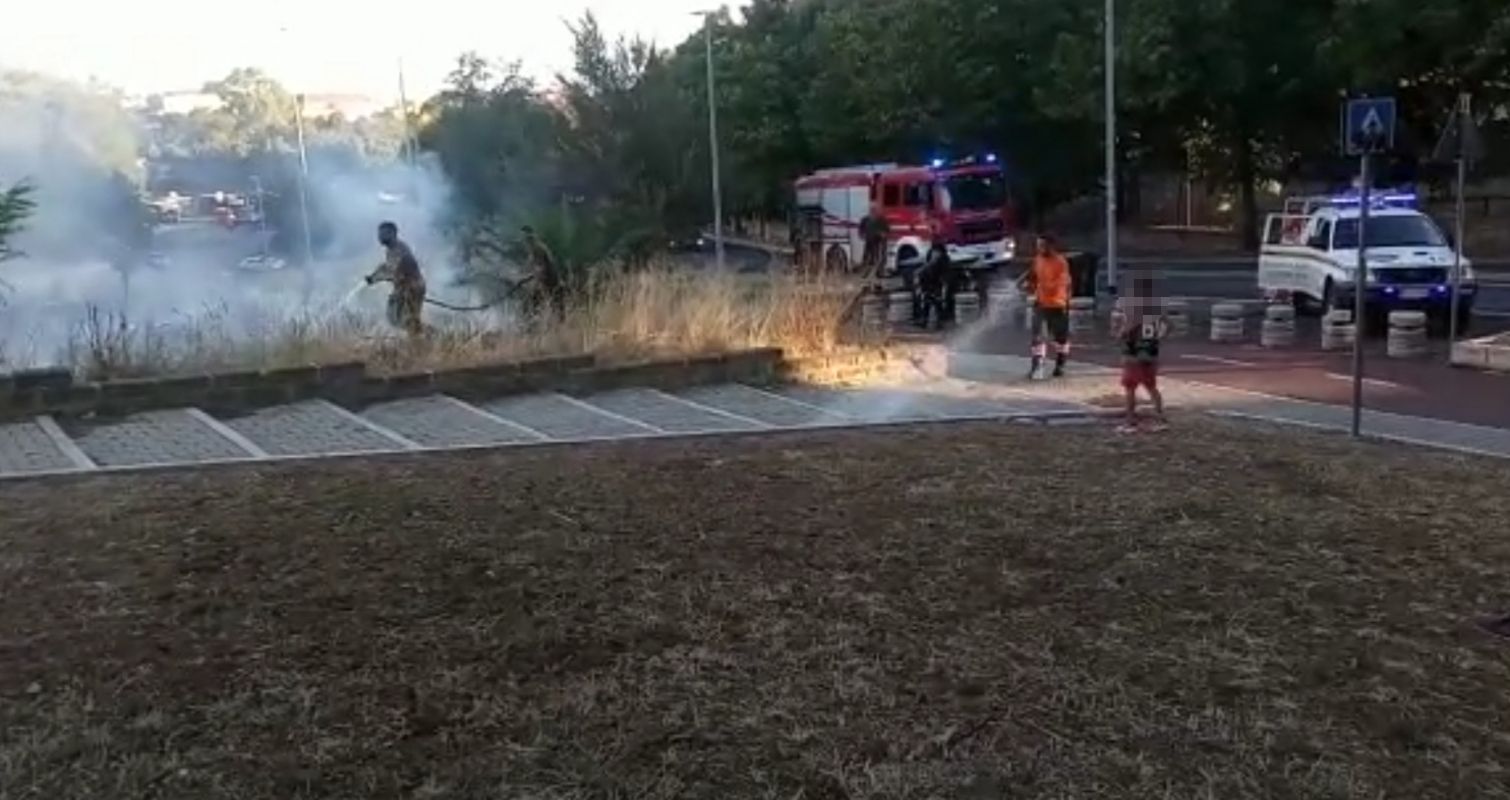 Incendio Monte Mario vigili del fuoco in azione