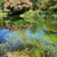 i giardini di Ninfa