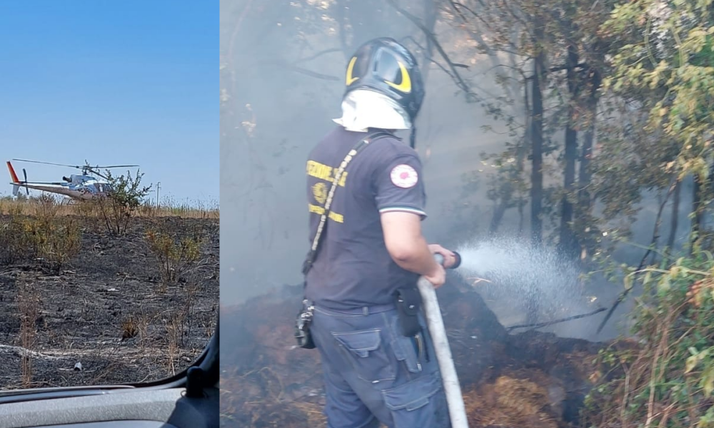 Vasto incendio ad Ardea in Via del Quartaccio, in fumo anche rifiuti abbandonati: rogo spento solo in serata (FOTO) Vasto incendio ad Ardea in Via del Quartaccio, in fumo anche rifiuti abbandonati: rogo spento solo in serata (FOTO)