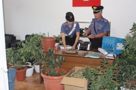 Marijuana trovata in casa