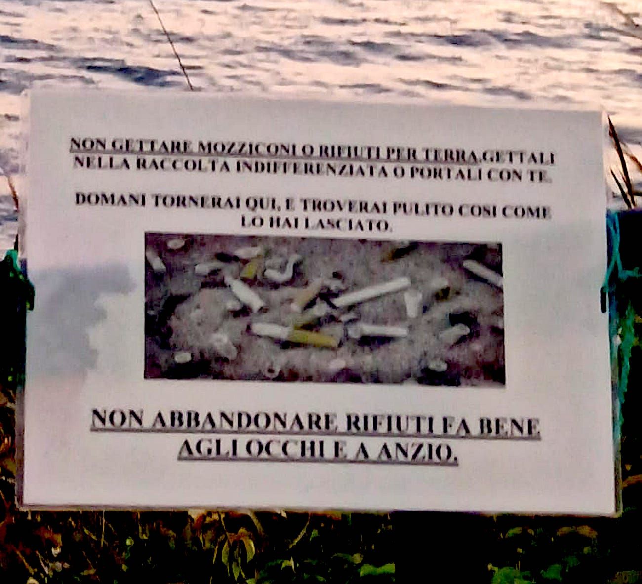 Il cartello apparso nella spiaggia di Anzio