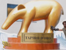 striscia la notizia tapiro pd