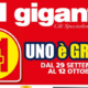 volantino Il Gigante