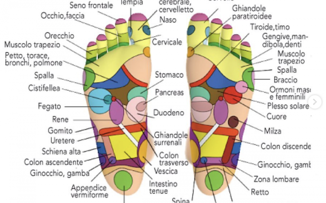 Mappa del piede