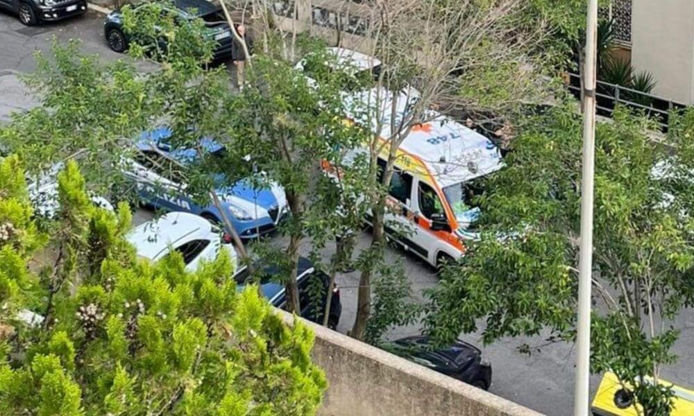 Cinghiali a Roma feriscono una donna al collo