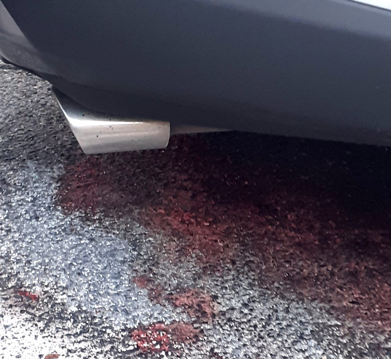 Le tracce di sangue