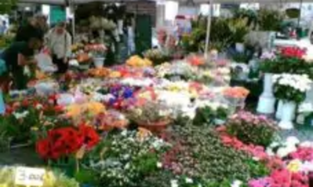 mercato dei fiori a Trionfale