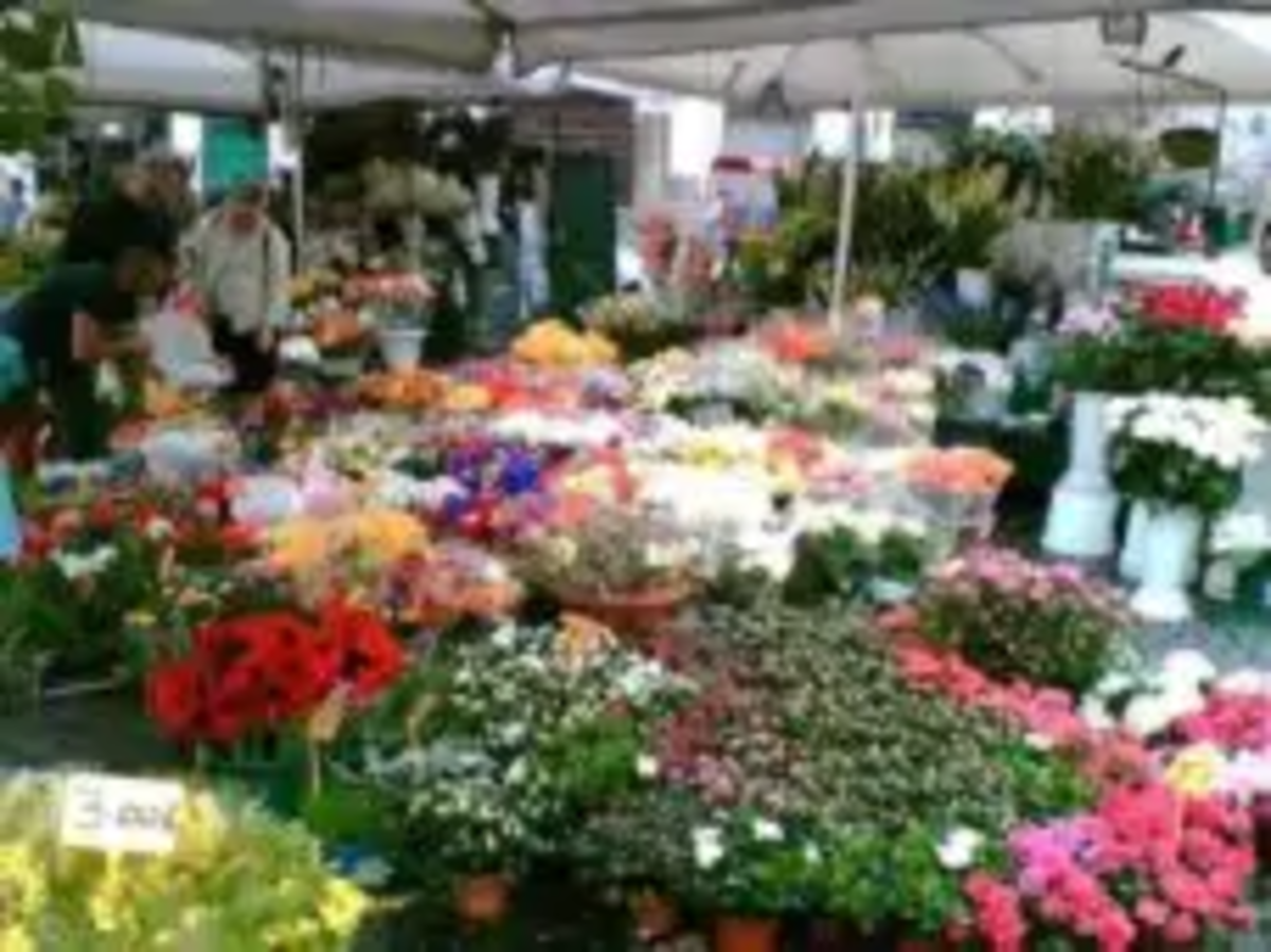 mercato dei fiori a Trionfale