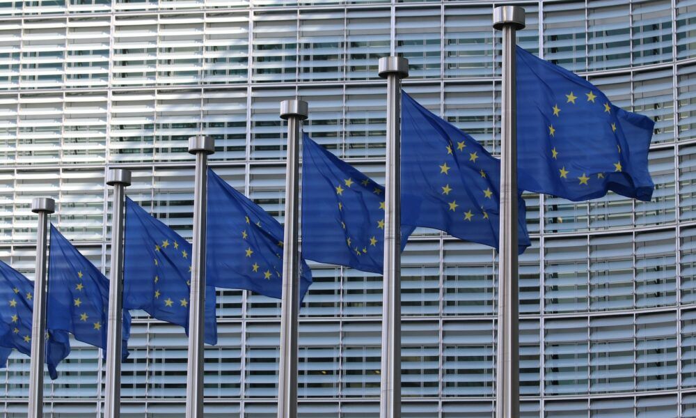 Parlamento Europeo approva emendamento Verdi