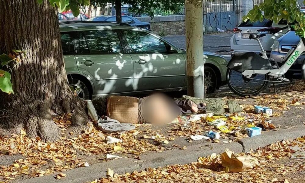 viale del Policlinico (foto Luca Laurenti)