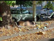 viale del Policlinico (foto Luca Laurenti)