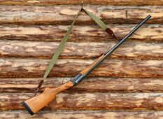 Fucile sequestrato al cacciatore ad Ardea per caccia illegale