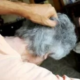 massacrata di botte dal figlio
